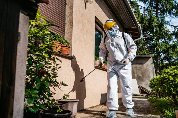 Best Affordable Pest Control Services  in Elkhart, IN