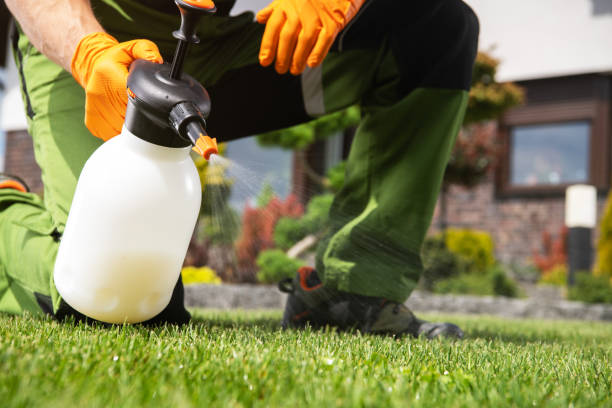 Flea Control Services in Elkhart, IN